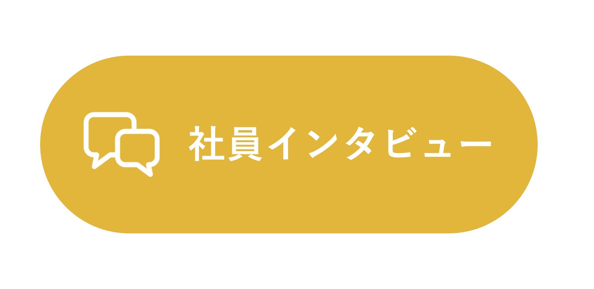 社員インタビュー